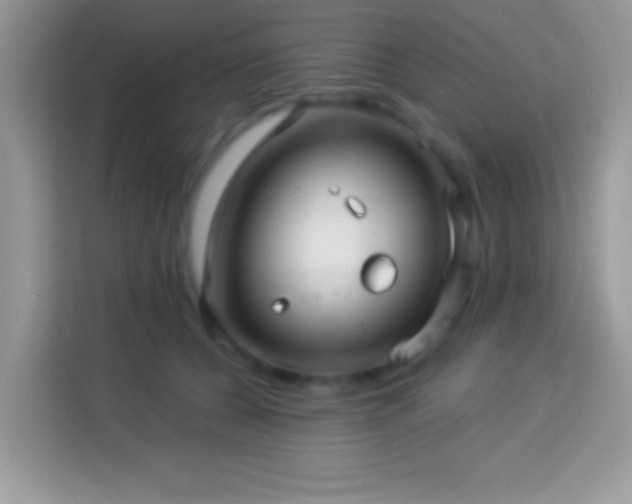 X0000114160560200910081355