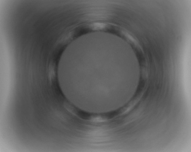 X0000114160561200910081355