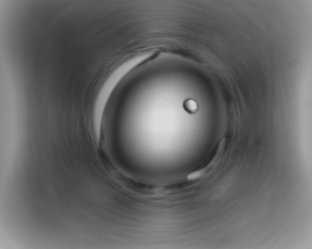 X0000114160562200910081355