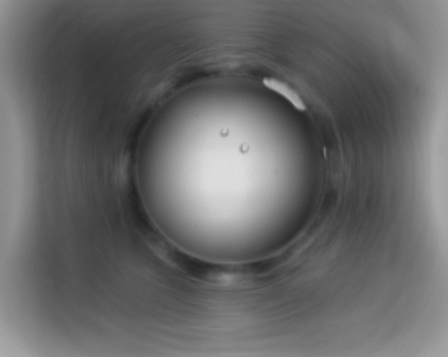 X0000114160563200910081355