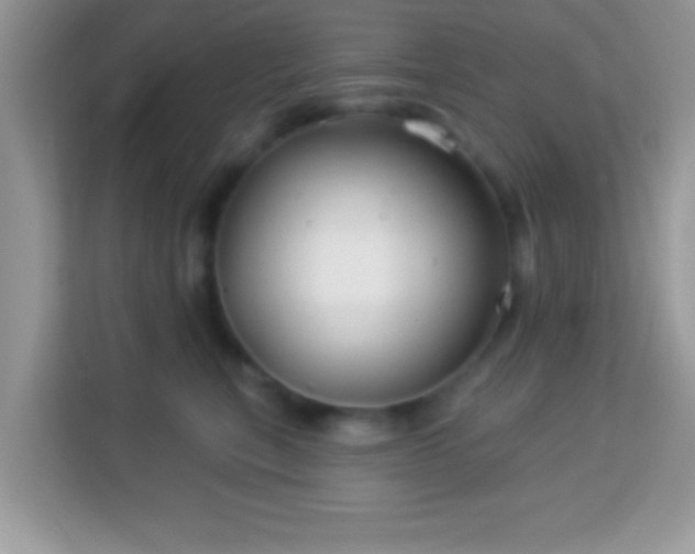 X0000114160567200910081356