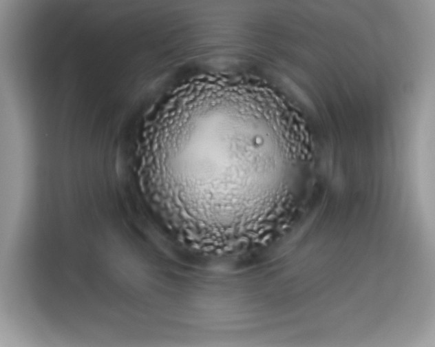 X0000114160569200910081356