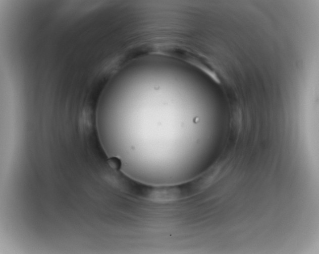 X0000114160571200910081356