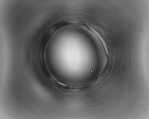 X0000114160572200910081356