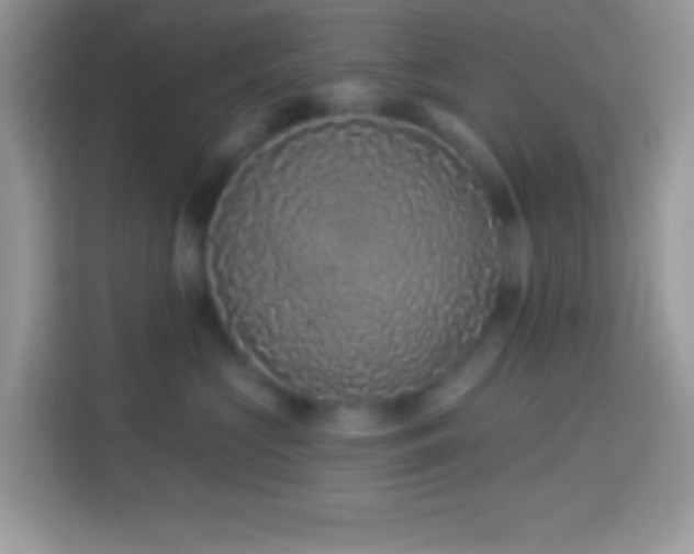 X0000114160573200910081356