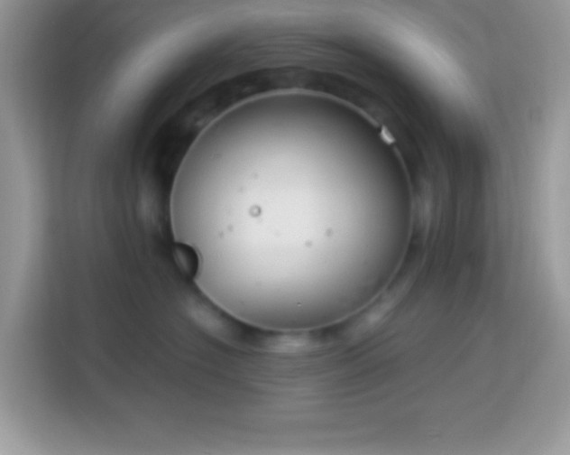 X0000114160574200910081356