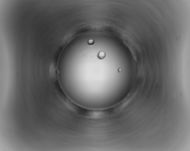 X0000114160575200910081356