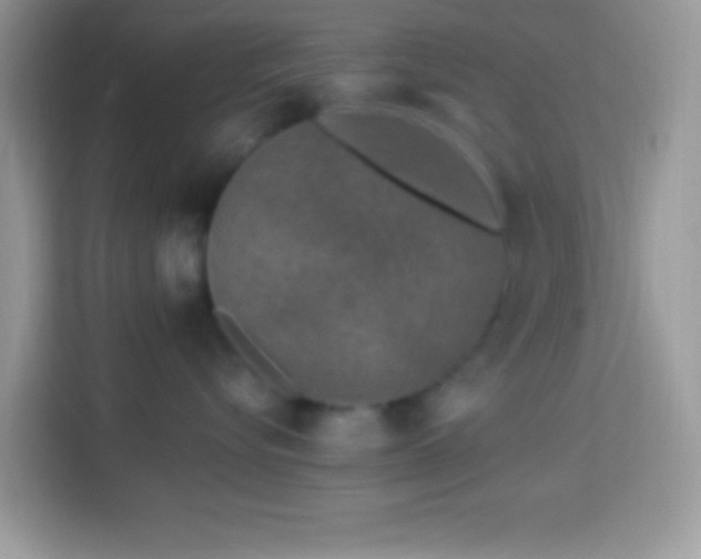 X0000114160576200910081356