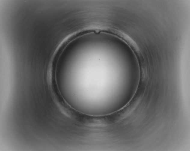 X0000114160580200910081355