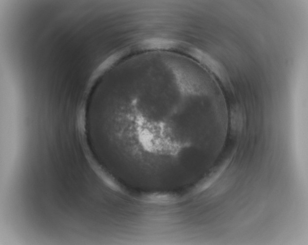 X0000114160581200910081355