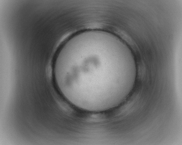 X0000114160584200910081355