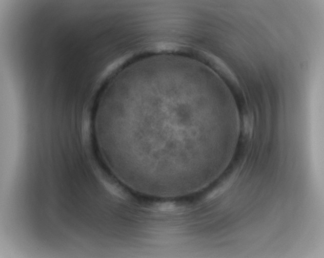 X0000114160588200910081355