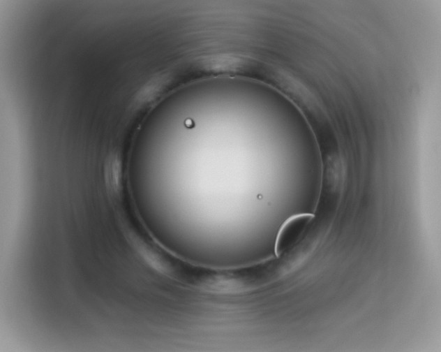 X0000114160589200910081355