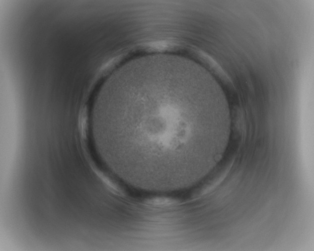 X0000114160590200910081355