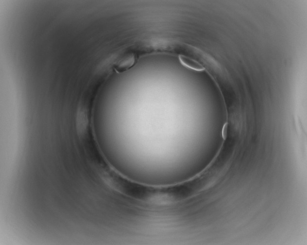 X0000114160593200910081355