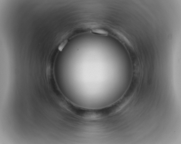 X0000114160597200910081355