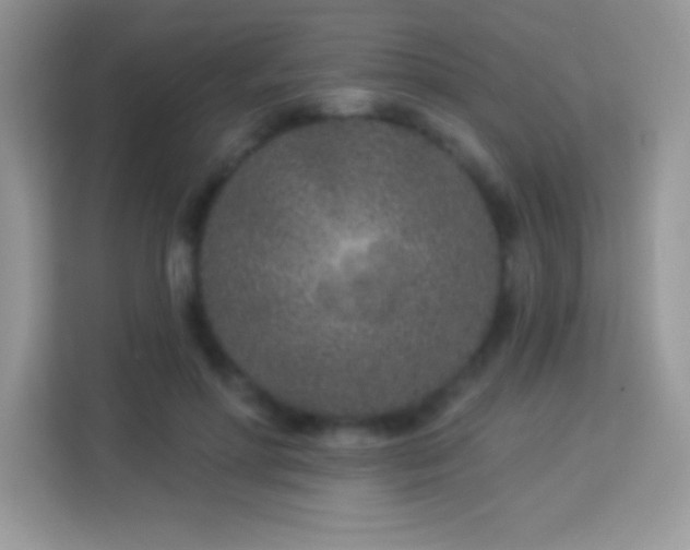 X0000114160598200910081355