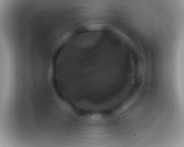 X0000114160600200910081355