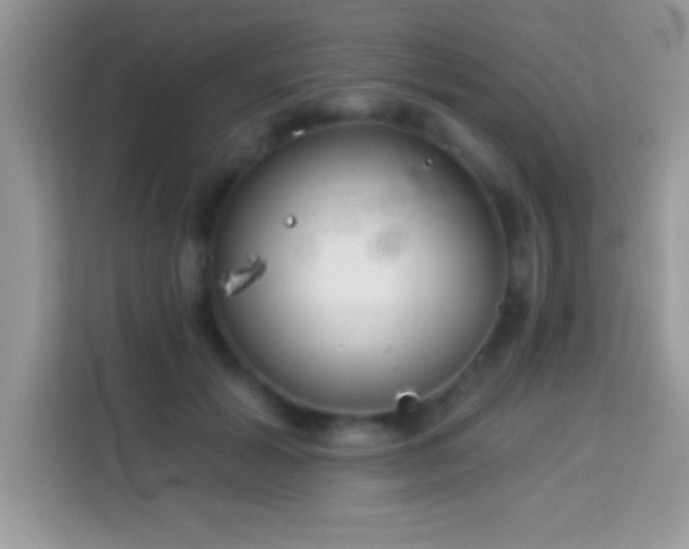 X0000114160605200910081355