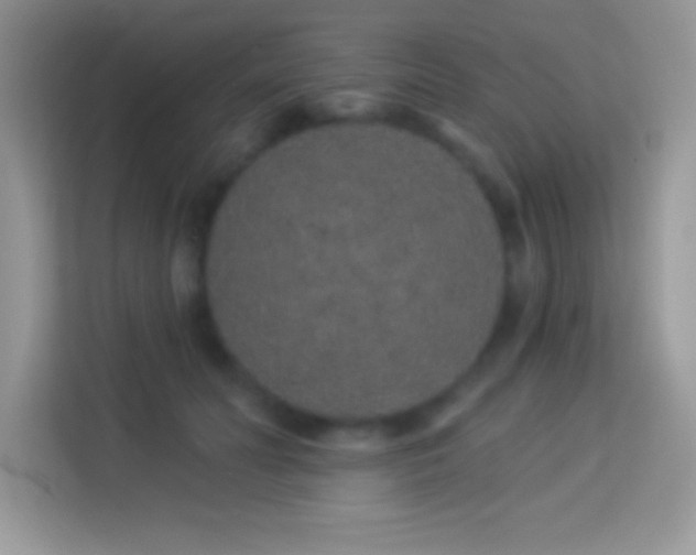 X0000114160606200910081355