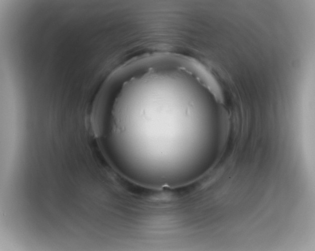 X0000114160609200910081355