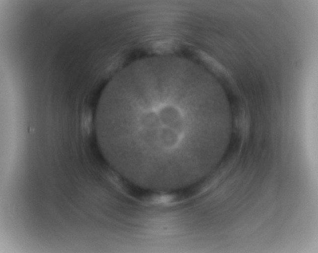 X0000114160610200910081355