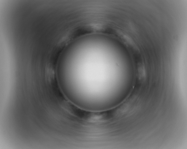 X0000114160613200910081355