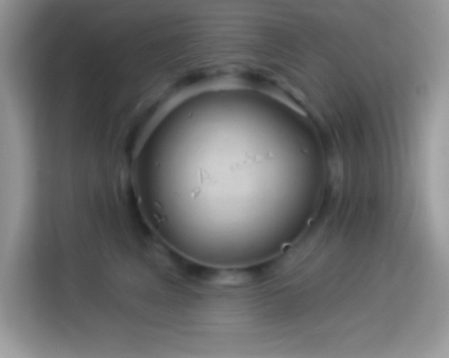 X0000114160617200910081355