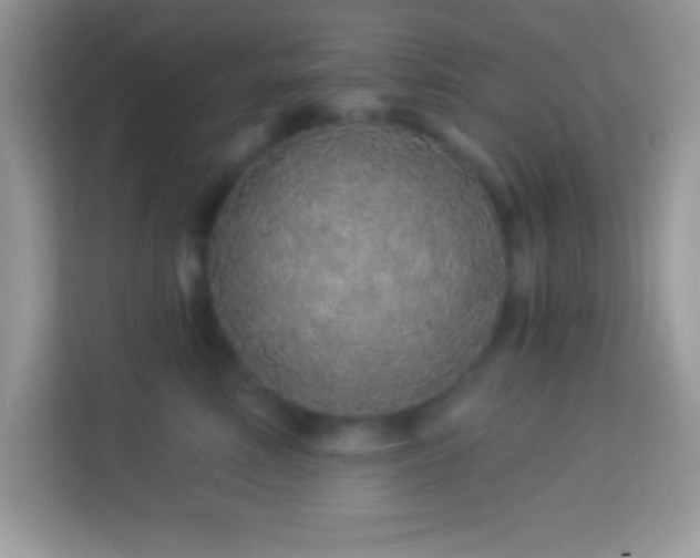 X0000114160618200910081354