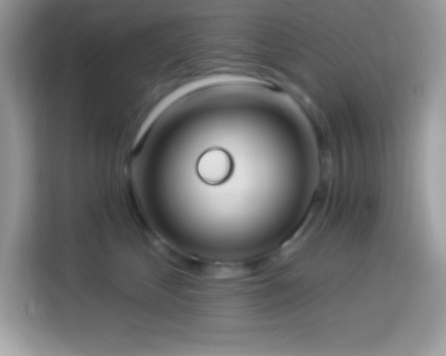 X0000114160621200910081354