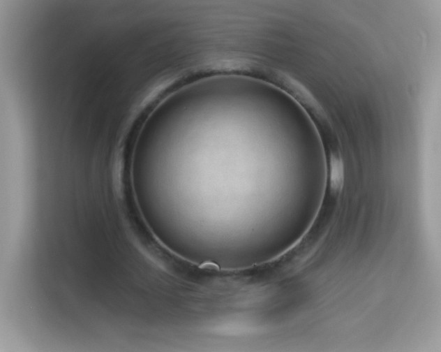 X0000114160627200910081354