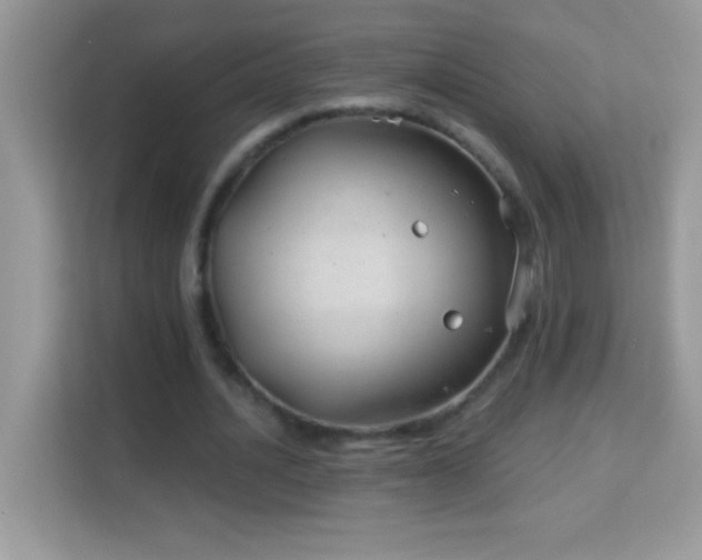 X0000114160628200910081354