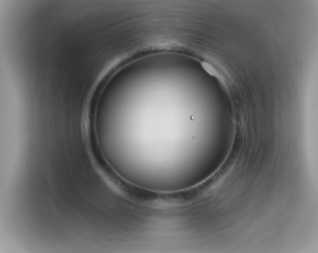 X0000114160630200910081354