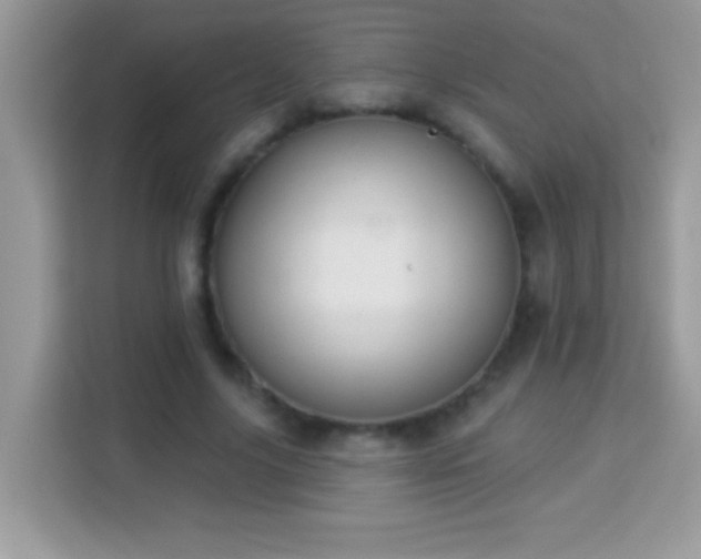 X0000114160635200910081354