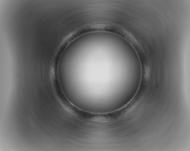 X0000114160636200910081354