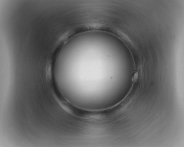 X0000114160638200910081354
