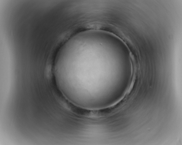 X0000114160641200910081354