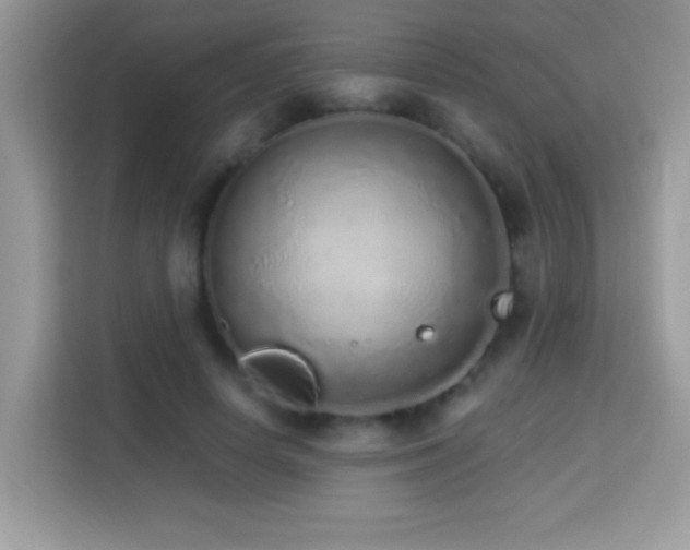 X0000114160642200910081354