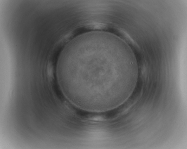 X0000114160643200910081354