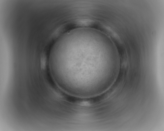 X0000114160647200910081354