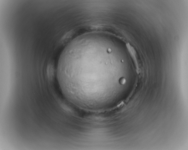 X0000114160648200910081354