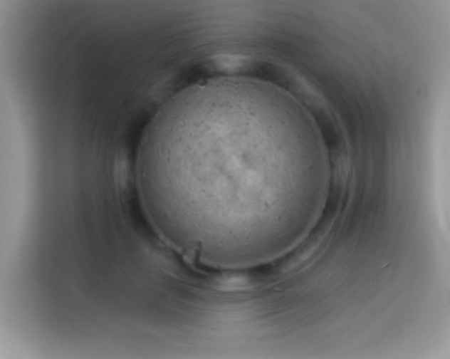 X0000114160651200910081354