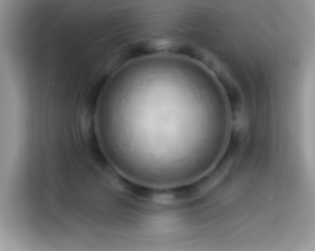 X0000114160653200910081354