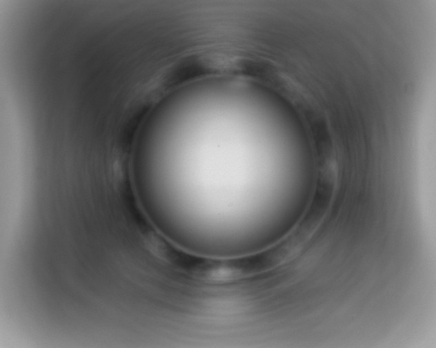 X0000114160658200910081354