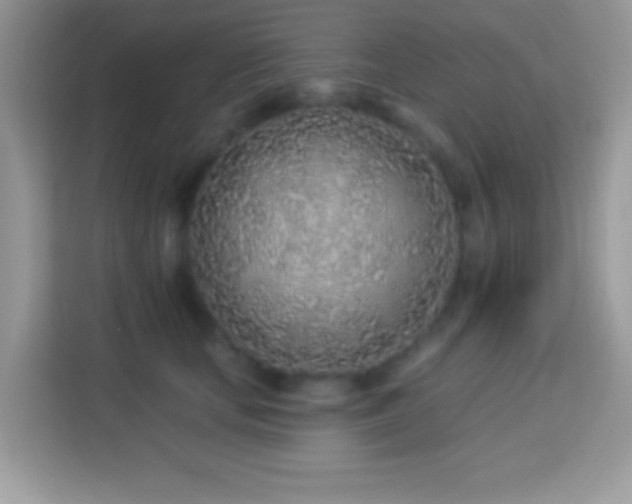 X0000114160659200910081354