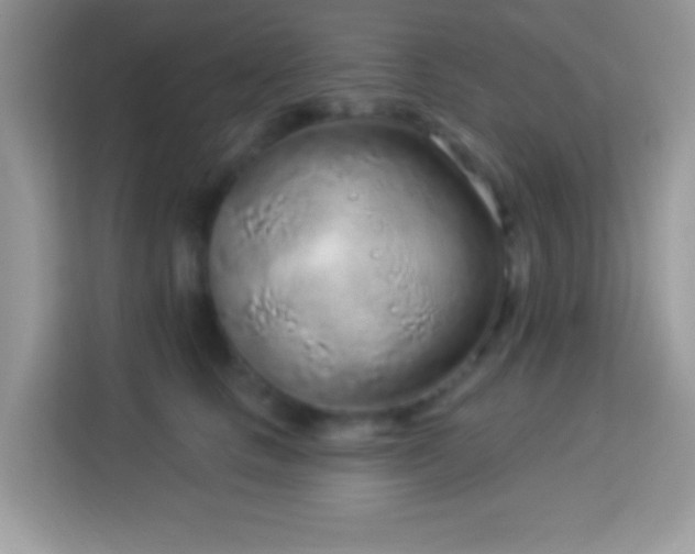 X0000114160661200910081354