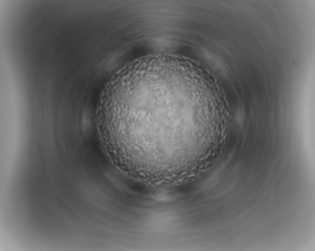 X0000114160663200910081354