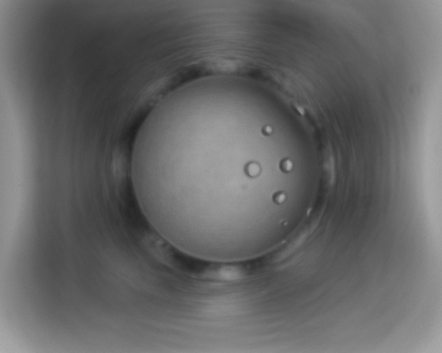 X0000114160665200910081354