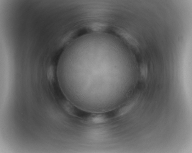 X0000114160667200910081354