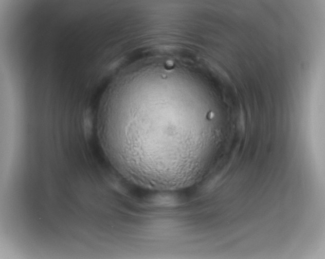 X0000114160668200910081354